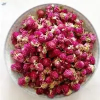 Dried Globe Amaranth Flower Tea