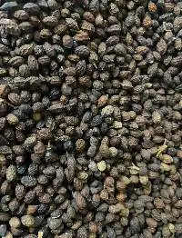 Dried papaya seeds