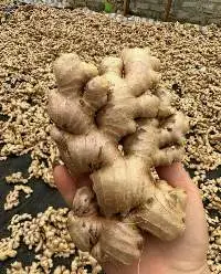 Fresh Ginger