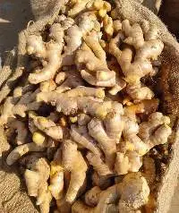 Fresh Ginger