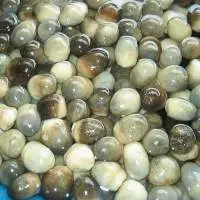 Canned Straw Mushroom