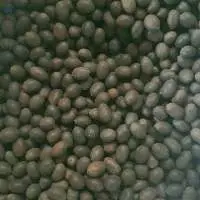 Dried Lotus Seed