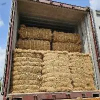 Coconut Coir Fiber