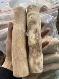 Coffee Wood Chew