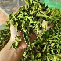 Dried Lemon Leaf