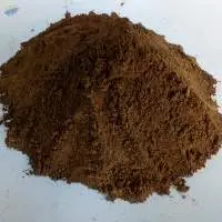 Noni Powder