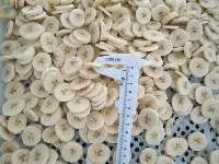 Frozen Banana