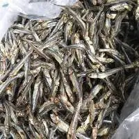 Dried Anchovy