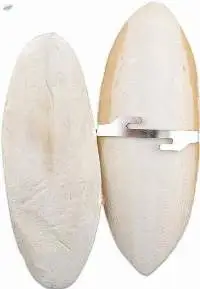 Cuttlefish Bone