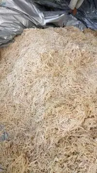 Vietnamese Seaweed Conttonii