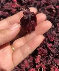 Dried Hibiscus Flower