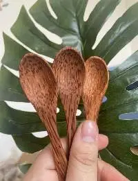 Coconut Wooden Spoon