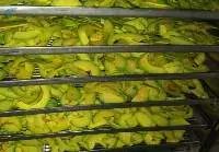 Vietnam Avocado Powder