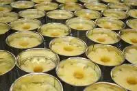 High Quality Best Seller Canned Pineapple