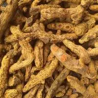 Dried Turmeric Fingers
