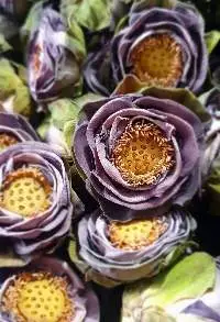 Dried Lotus Flower