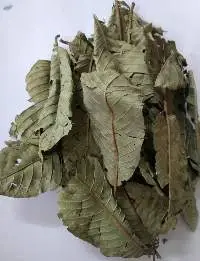 Dried Guava Leaves