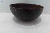 Coconut Shell Bowl