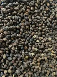 Dried Papaya Seed
