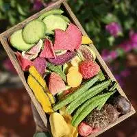 Dried Fruits And Vegetables