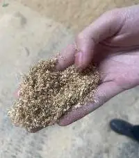 Pine Wood Sawdust