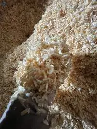 Wood Shaving