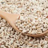 Coix Seed