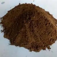 Noni Powder