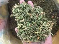Dried Male Papaya Flowers