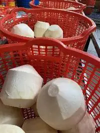 Vietnamese Diamond Shape Fresh Coconut