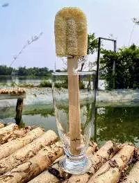 Loofah Bottle Cleaning Brush