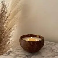 Coconut Shell Bowls Candle