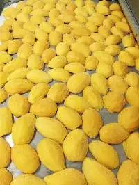Frozen Mango