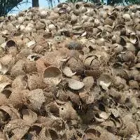 Coconut Shell Product Made In Viet Nam