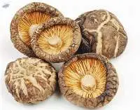 Dried Shiitake Mushroom