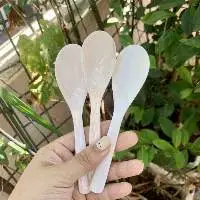 Conch Seashell Spoon