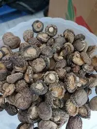 Dried Shiitake Mushroom