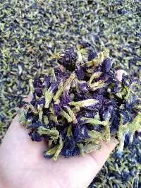 Dried Butterfly Pea Flower