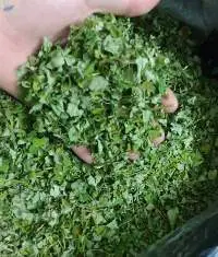 Dried Moringa Leaves