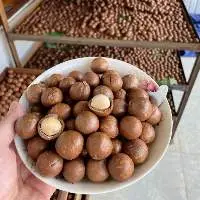 Macadamia Nuts