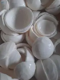 Frozen Coconut Meat