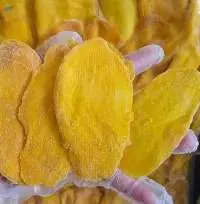 Natural Soft Dried Mango Fruit