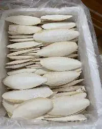 Dried Cuttlefish Bone For Bird