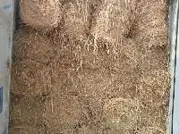 Rice Straw For Animal Feed