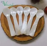 Conch Shell Spoon Ice Cream Coffee Caviar Spoon