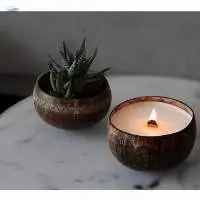 Coconut Shell Candles