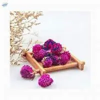 Dried Globe Amaranth Flowers