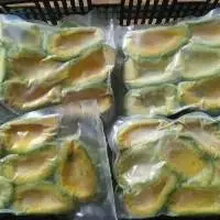 Frozen Avocado Made In Viet Nam