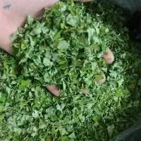 Dried  Moringa