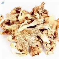 Dried Oyster Mushroom